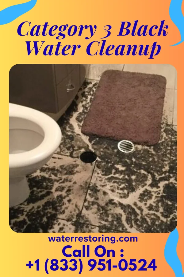 Category 3 Black Water Cleanup in Carver, MN