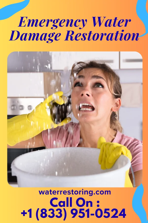 Emergency Water Damage Restoration in Carver, MN